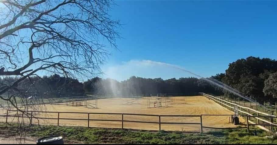 Agence immobilière de Agence Maison Carrée